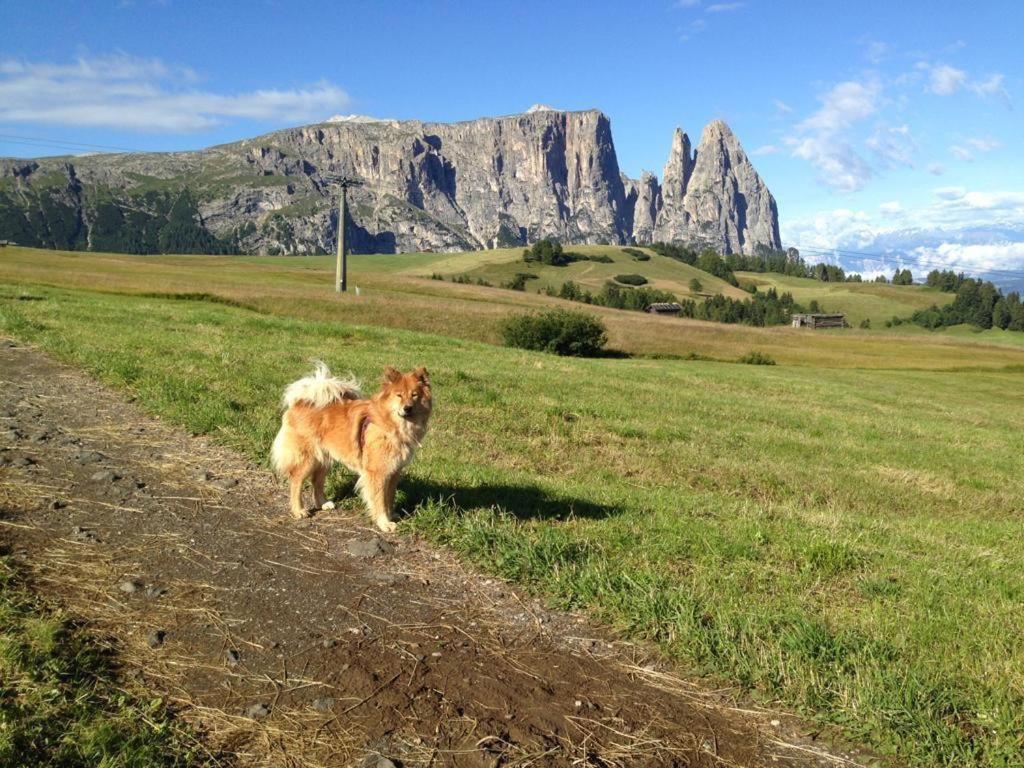 Siusi Sciliar Apartment Eksteriør bilde